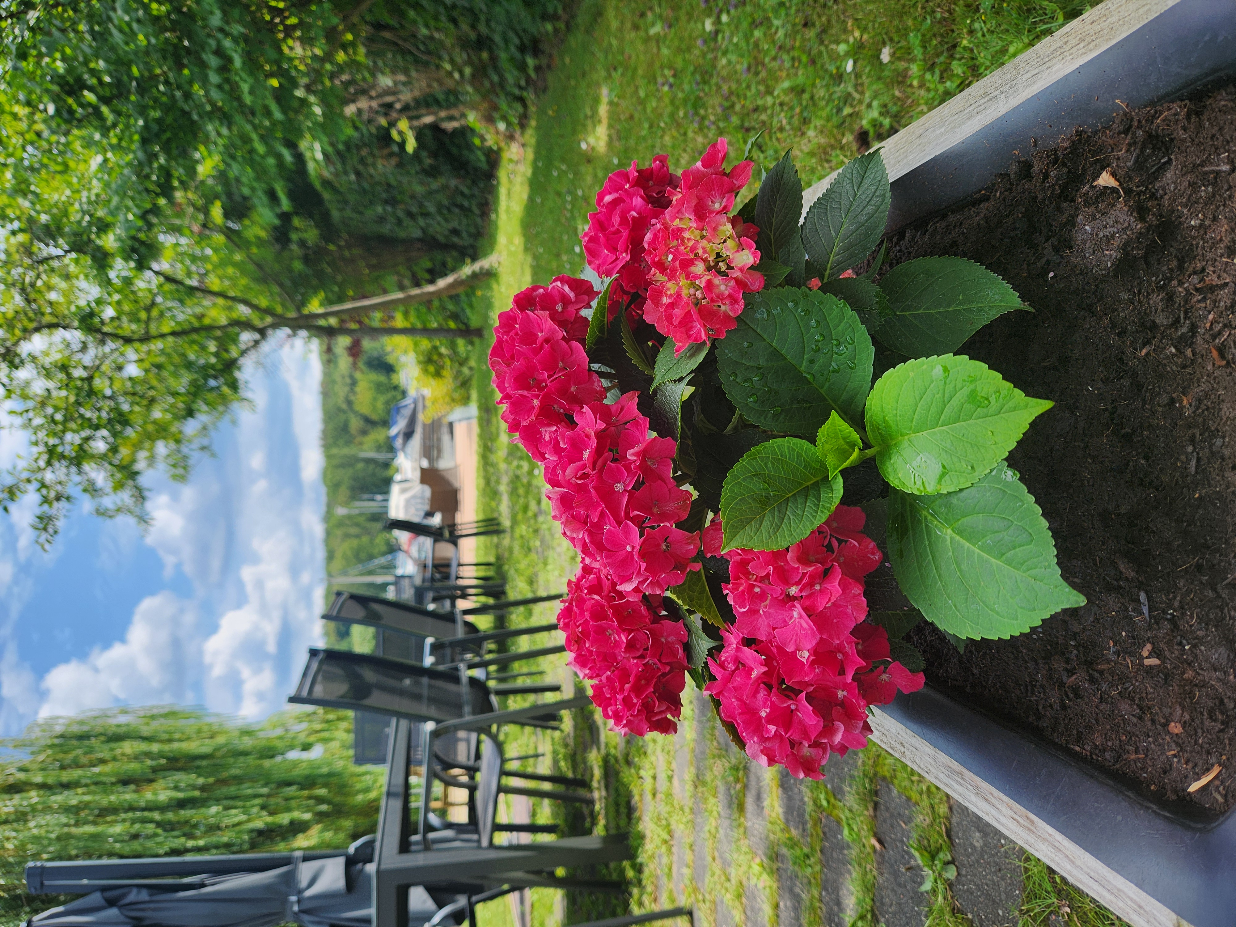 Kontrast zwischen belebtem Berliner Kiez und ruhigem Garten am Pichelssee.